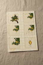 Lemon Stories on Linen